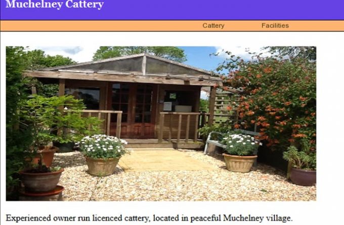 Muchelney Cattery