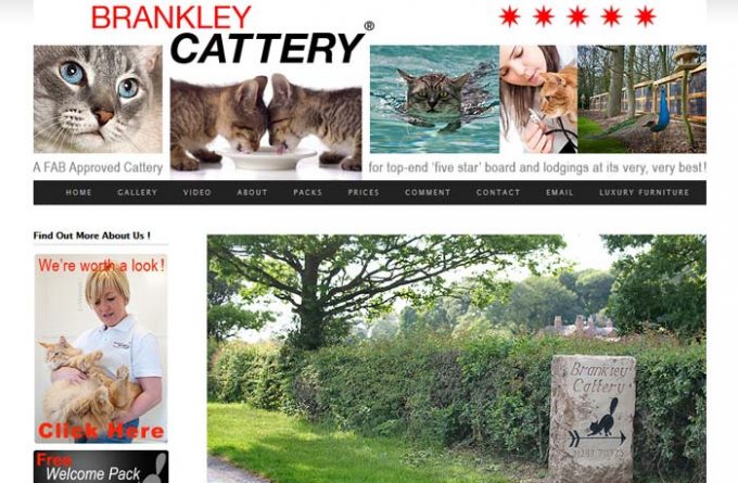 Brankley Cattery