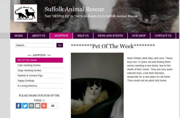 Suffolk Animal Rescue - Stowmarket