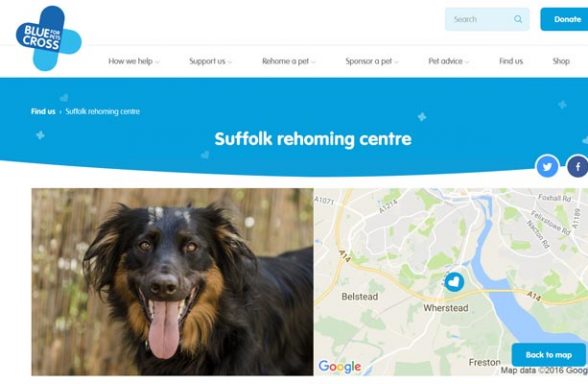 Blue Cross Rehoming Centre - Ipswich