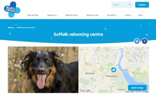 Blue Cross Rehoming Centre, Ipswich
