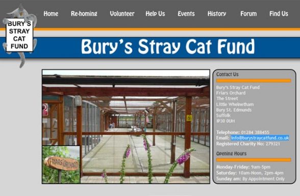Bury's Stray Cat Fund - Bury St. Edmunds