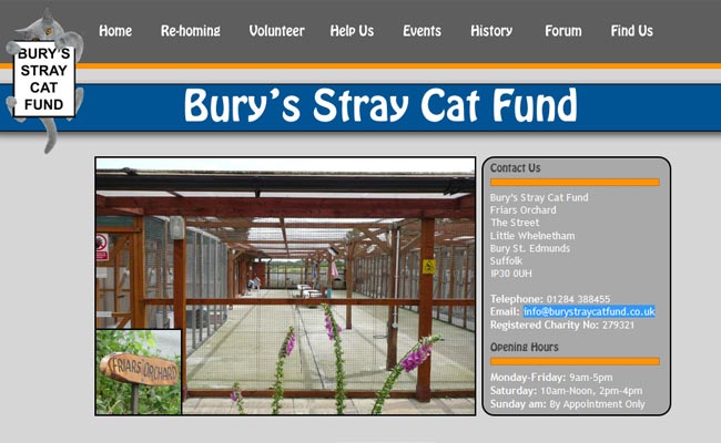 Bury's Stray Cat Fund - Bury St. Edmunds