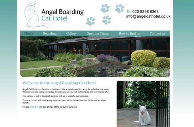 Angel Boarding Cat Hotel