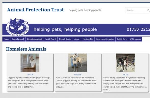 Animal Protection Trust - Horley
