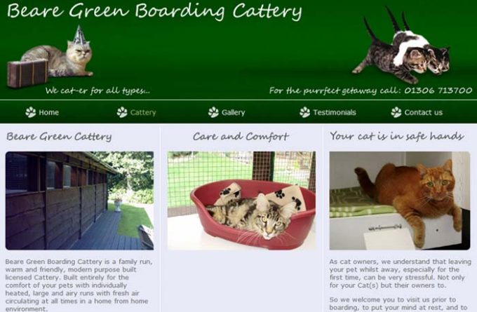 Beare Green Boarding Cattery