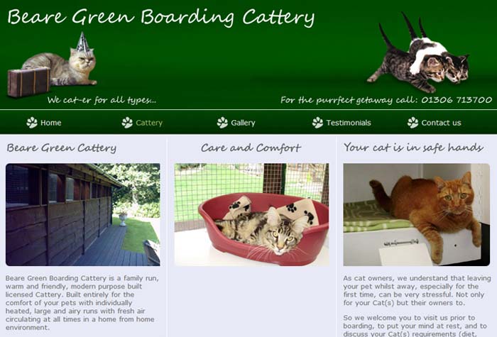 Cat Rescue Tyne And Wear Cat Rescue Tyne And Wear