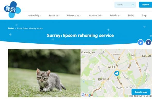 Blue Cross Rehoming Service - Ewell
