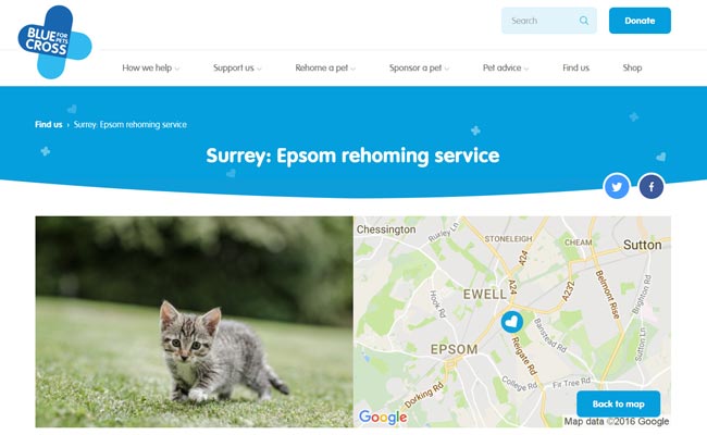 Blue Cross Rehoming Service - Ewell