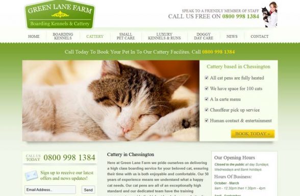 Green Lane Farm Cattery