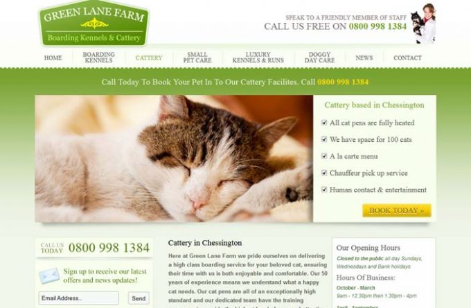 Green Lane Farm Cattery