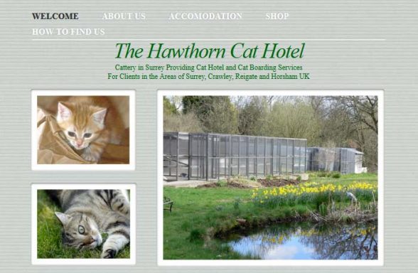 The Hawthorn Cat Hotel