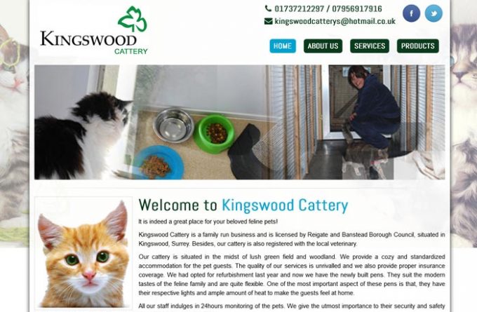 Kingswood Cattery