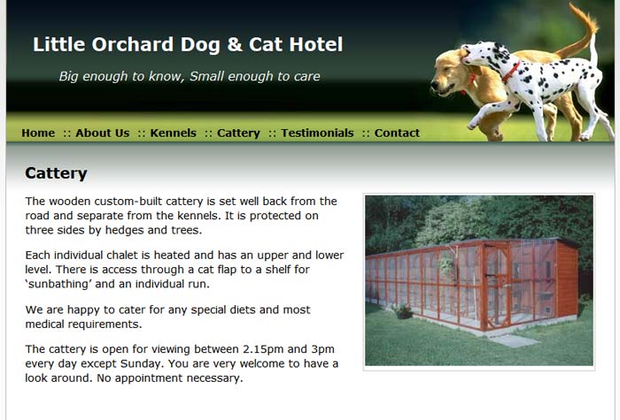 Little orchard cattery 2025