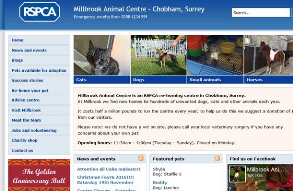 RSPCA Millbrook Animal Centre - Chobham