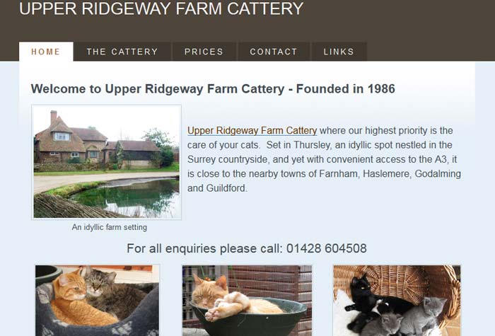 Cattery nearby sales