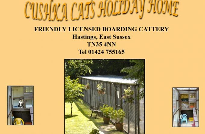 Cushka Cats Boarding cattery