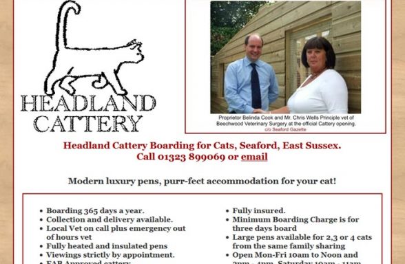 Headland Cattery
