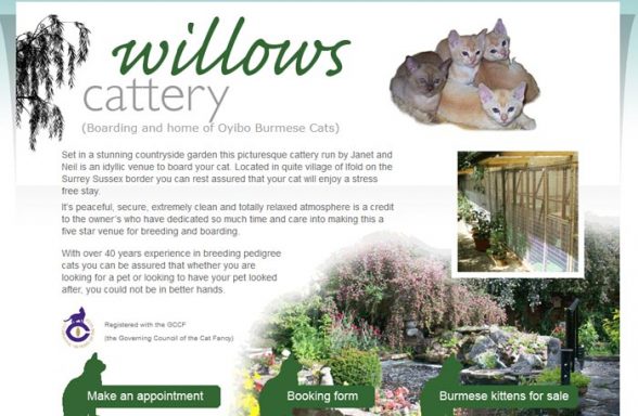 Willows Cattery