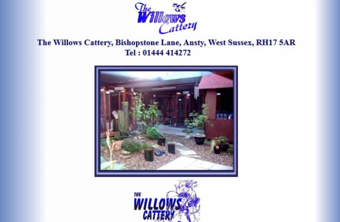 The Willows Cattery