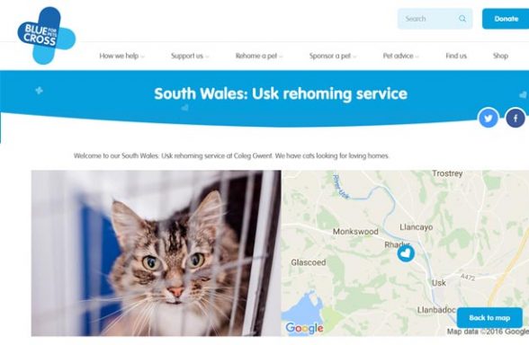 Blue Cross Rehoming Service - Usk