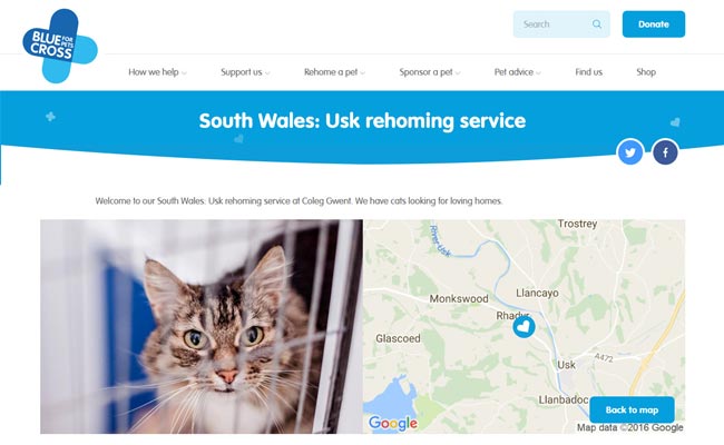 Blue Cross Rehoming Service - Usk