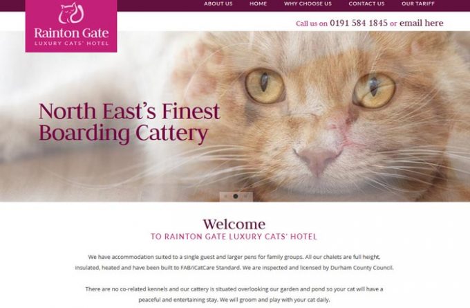 Rainton Gate Luxury Cat's Hotel