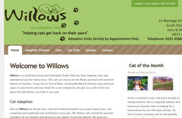 Willows Cat Adoption Centre - South Shields