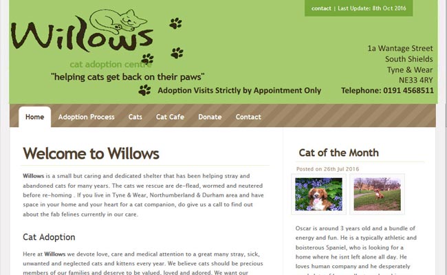 Willows Cat Adoption Centre - South Shields