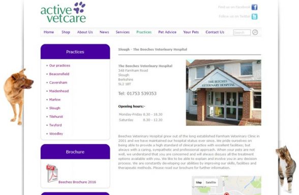 Tilehurst Veterinary Centre