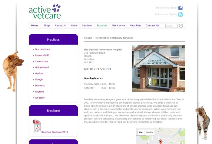 Tilehurst Veterinary Centre