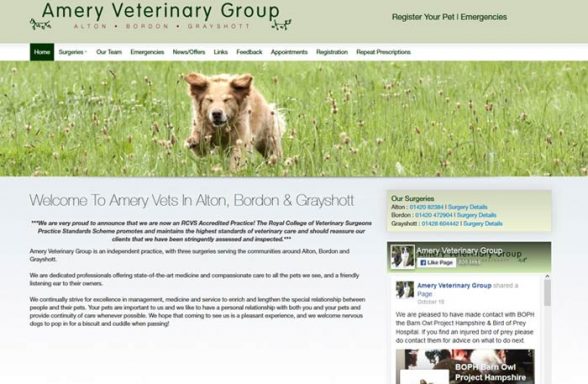 Amery Veterinary Group