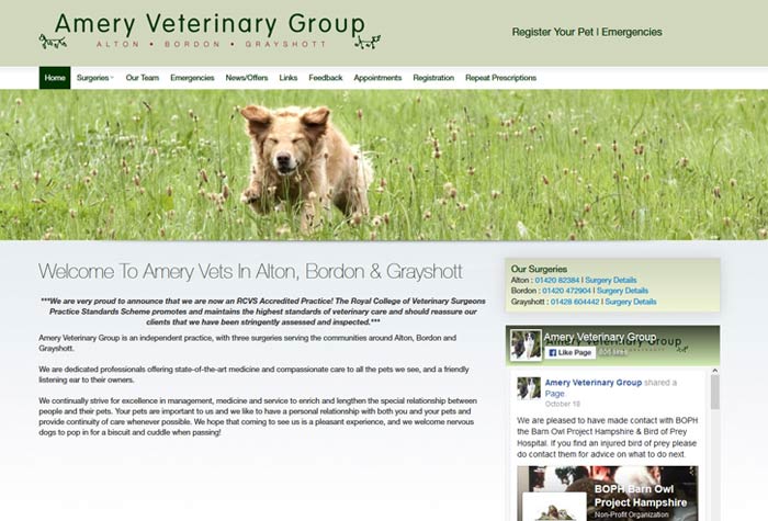 Amery Veterinary Group