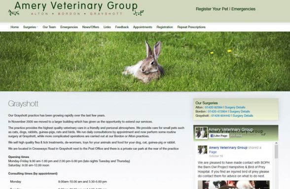 Amery Veterinary Group