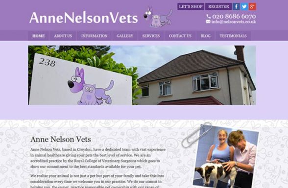 Anne Nelson Vets