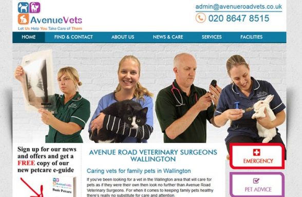 Avenue Road Veterinary Surgery