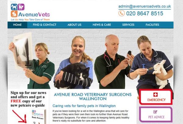 Avenue Road Veterinary Surgeons - Wallington