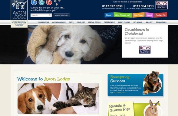 Dog Kennels Whitchurch Bristol Dog Kennels Whitchurch Bristol
