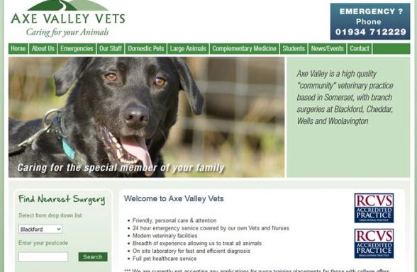 Axe Valley Veterinary Practice