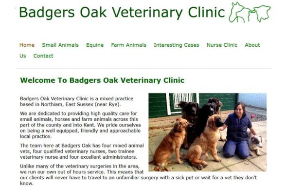Badgers Oak Veterinary Clinic