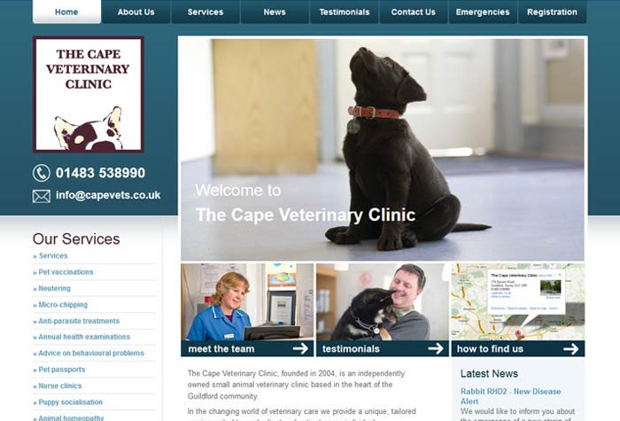 The Cape Veterinary Clinic