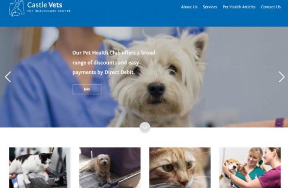 Castle Vets Pet Healthcare Centre