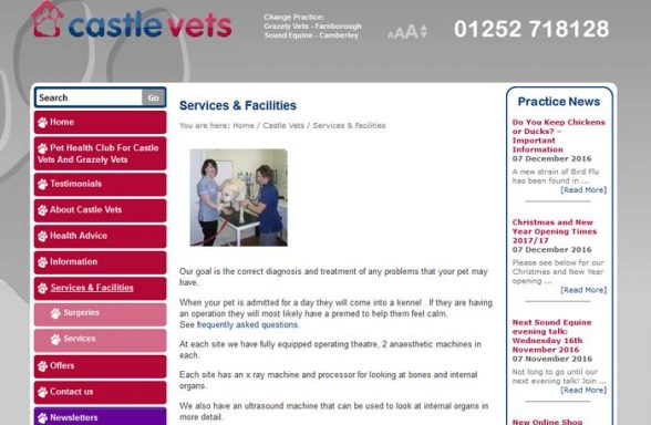 Castle Vets