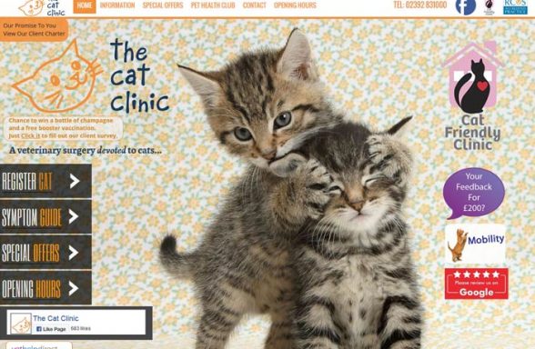 The Cat Clinic Ltd