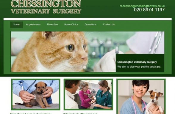 Chessington Veterinary Surgery