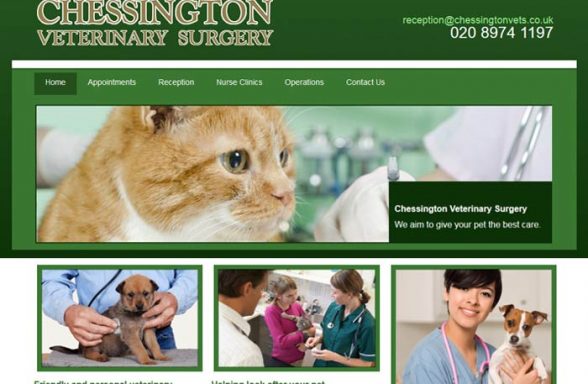 Chessington Veterinary Surgery