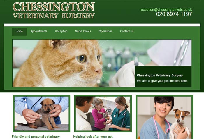 Chessington Veterinary Surgery