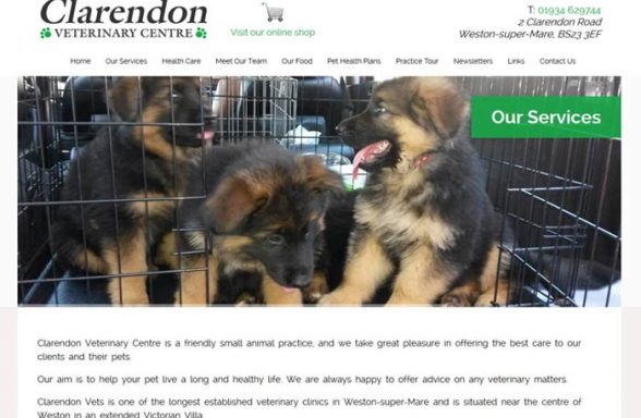 Clarendon Veterinary Surgery
