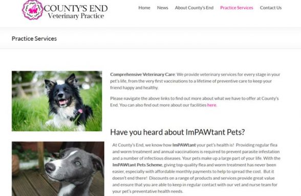 County's End Veterinary Practice