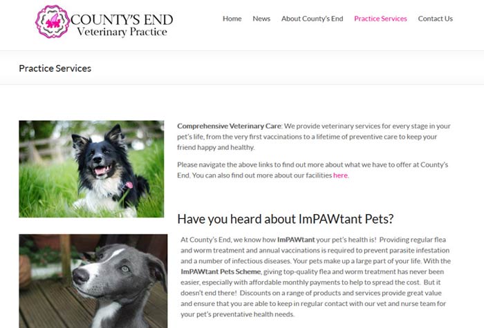 County's End Veterinary Practice